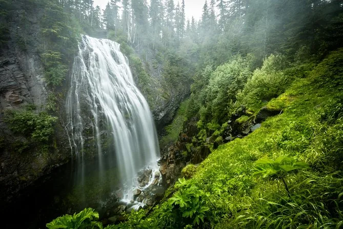 Highlights-Tour im Mount-Rainier-Nationalpark
