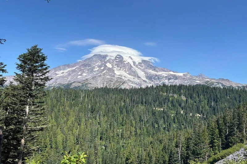 Kleingruppen-Tagesausflug zum Mount Rainier